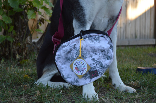 Lizzy Bennet Crossbody Bag