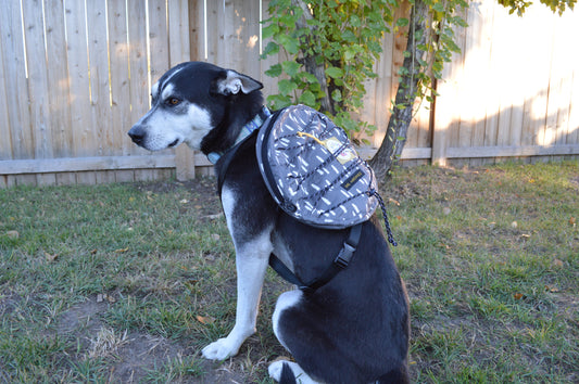 Circle Tree Backpack