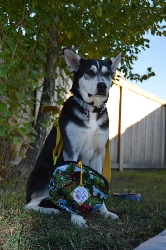 Farmers Only Crossbody Bag