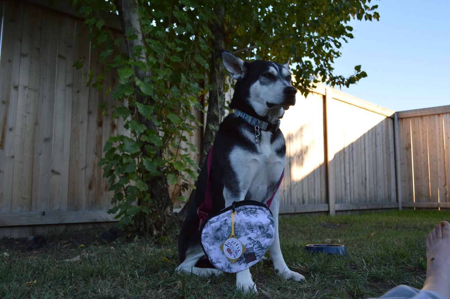 Lizzy Bennet Crossbody Bag